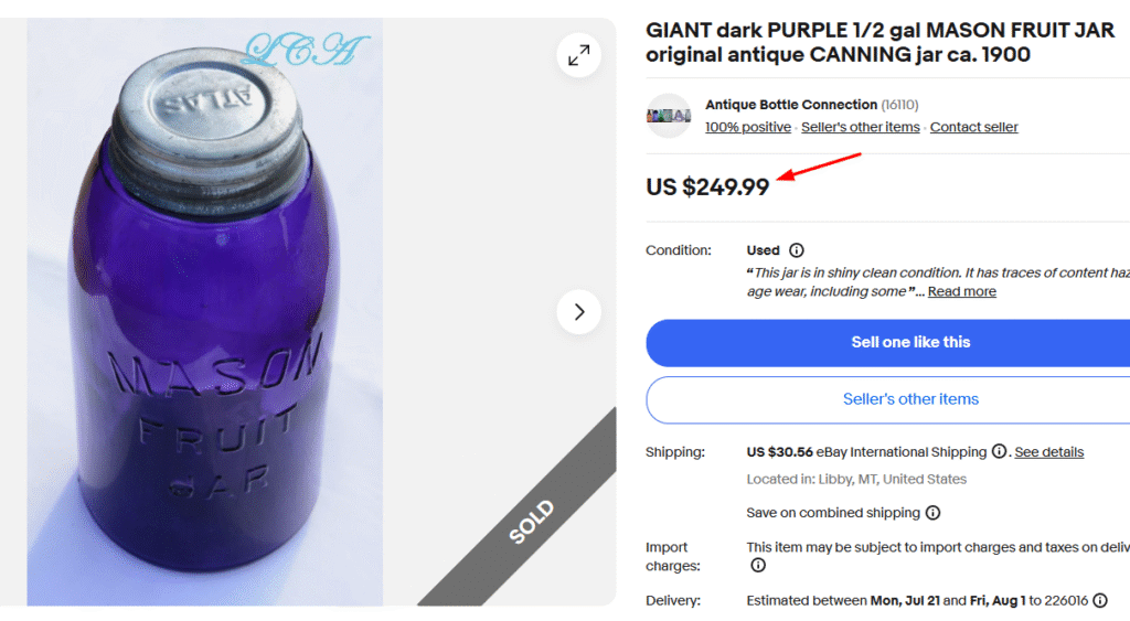 Dark Purple Mason Fruit Jar