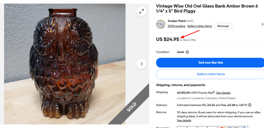 Libbey Wise Old Owl Glass Piggy Bank