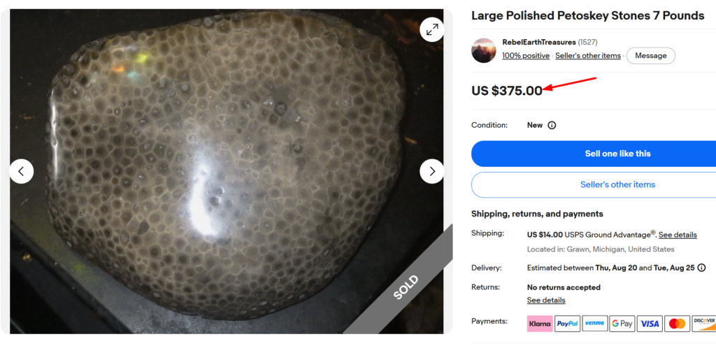Petoskey Stone